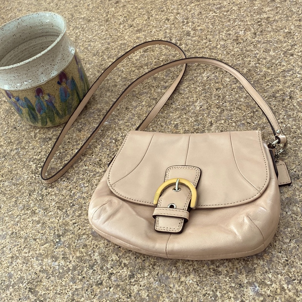 Coach Crossbody Leather Bag With Silver Toned Hardware Small Purse